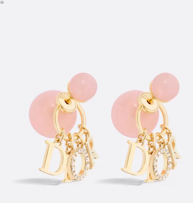 chr1st1an D10r earrings